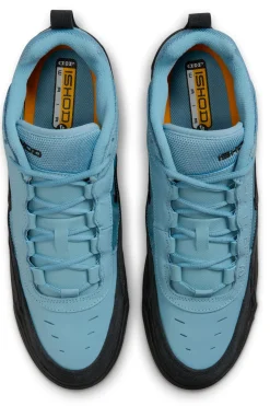 Buty Nike SB Air Max Ishod