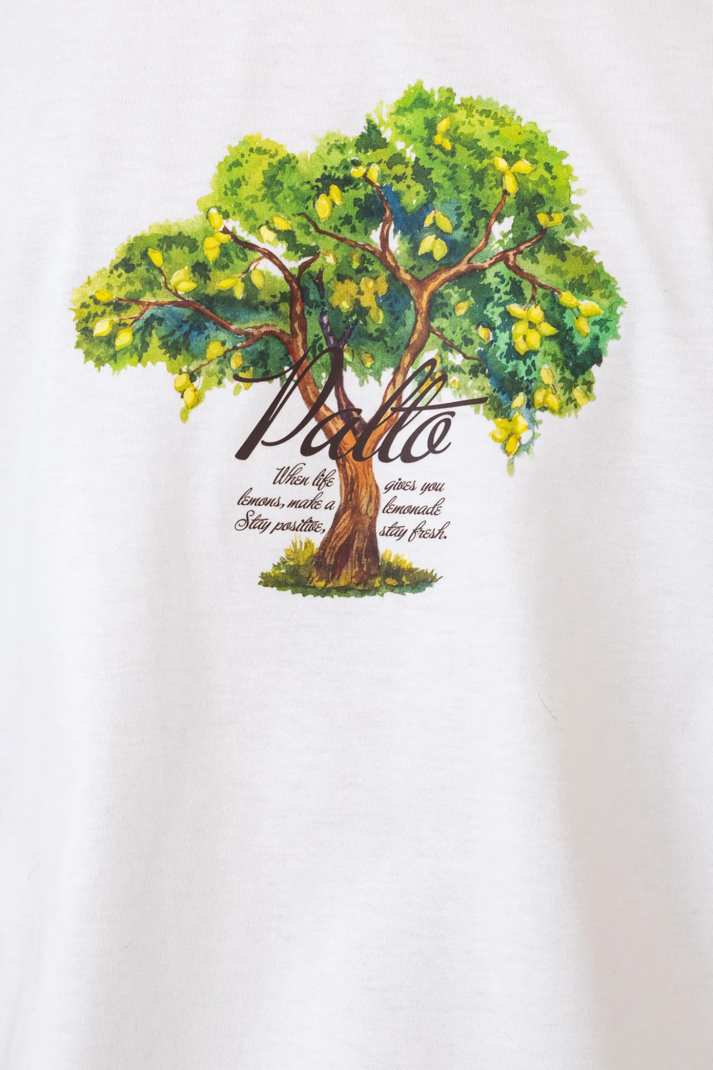 Koszulka Palto Lemon Tree